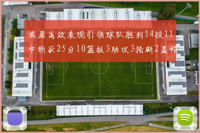 浓眉高效表现引领球队胜利14投11中斩获25分10篮板3助攻3抢断2盖帽