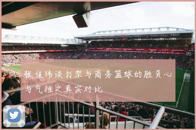 张佳玮谈打架与商务篮球的胜负心与气性之真实对比